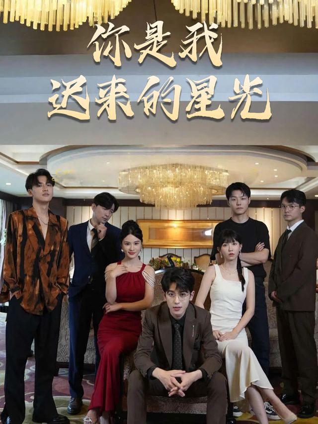 你是我迟来的星光封面