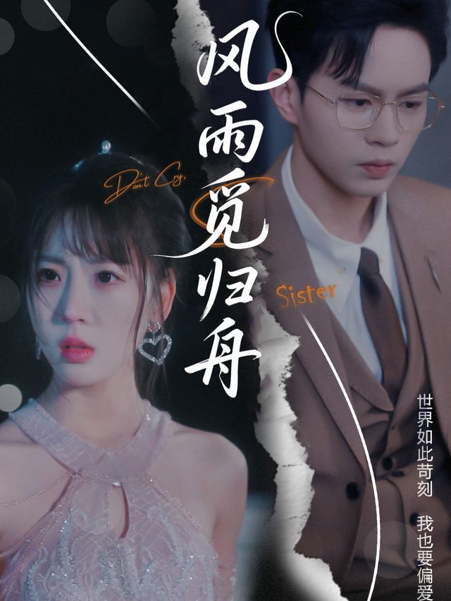 风雨觅归舟封面