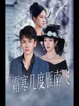 霜寒几度雁南飞封面