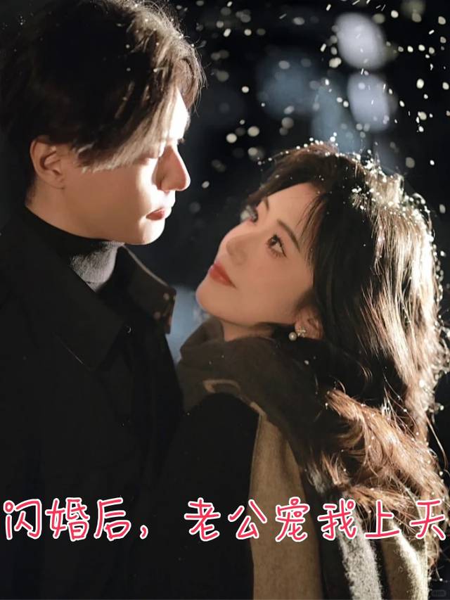 闪婚后,老公宠我上天封面