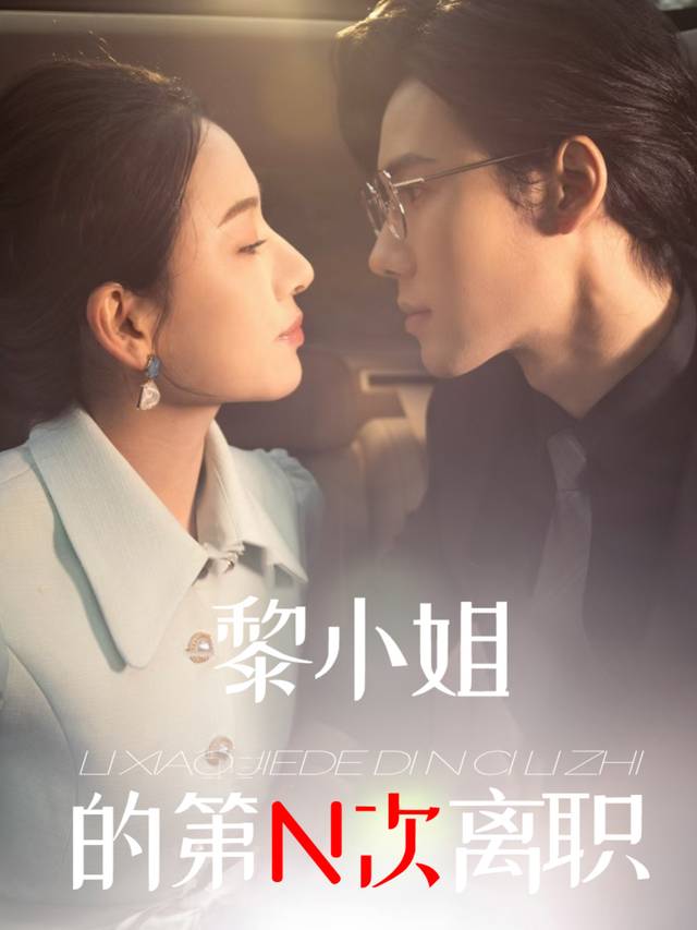 黎小姐的第 N 次离职封面