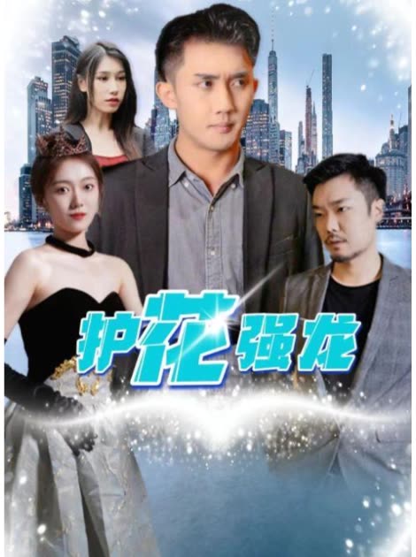 护花强龙封面