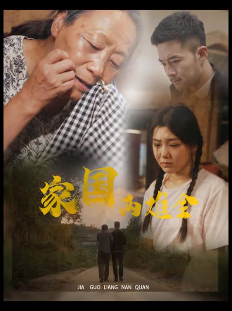 家国两难全封面