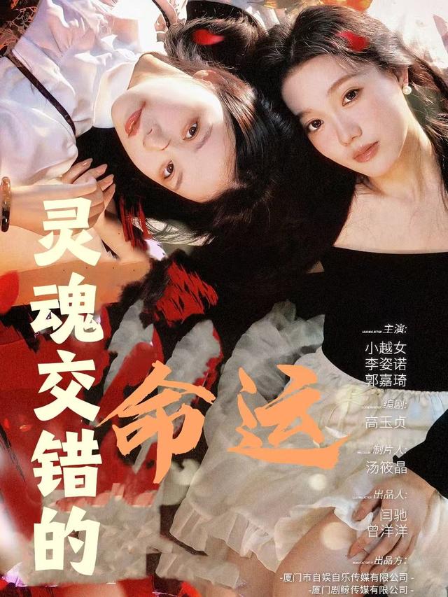 灵魂交错的命运封面