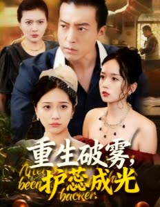 重生破雾,护蕊成光封面