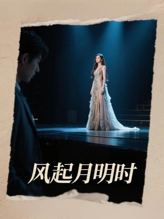 风起月明时封面
