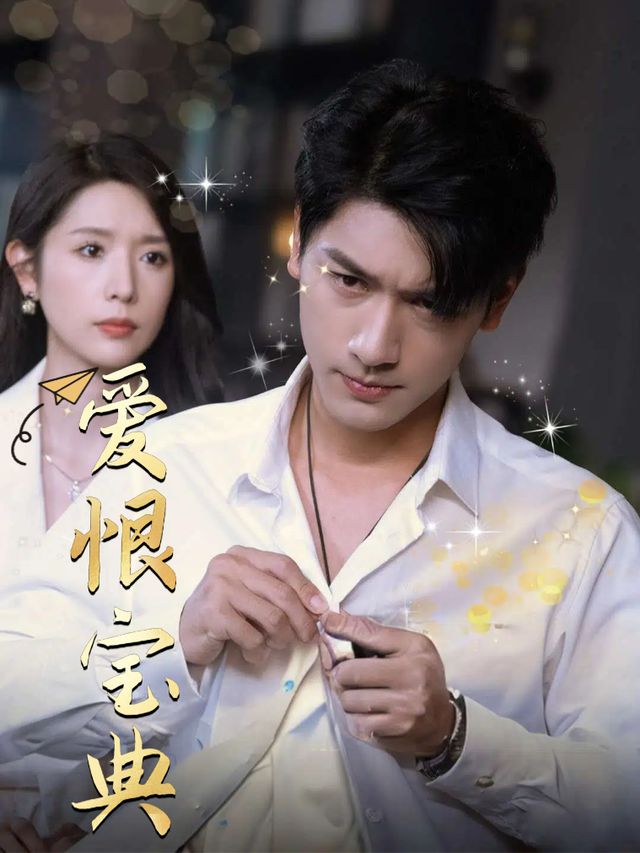 爱恨宝典封面