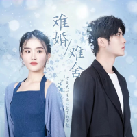 难婚难舍封面