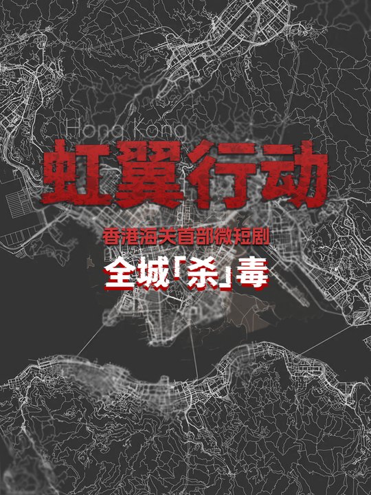 虹翼行动封面