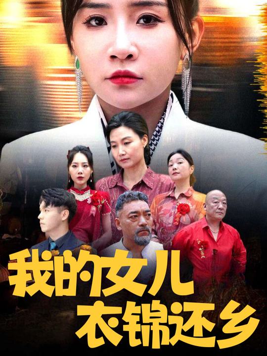 我的女儿衣锦还乡封面