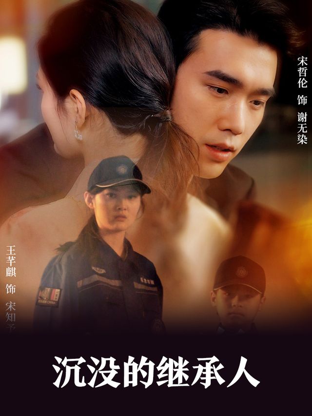 沉没的继承人封面