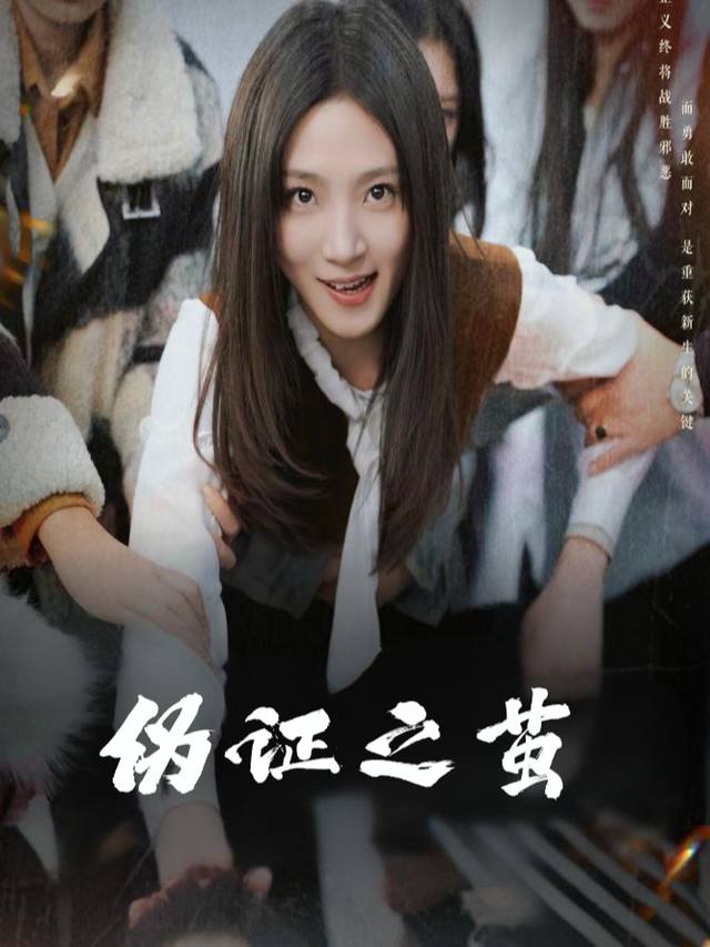 伪证之茧封面