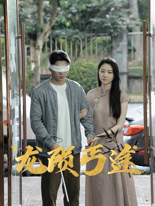 龙陨丐途封面