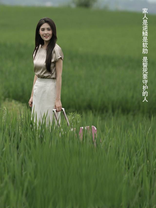 爱的守护神封面