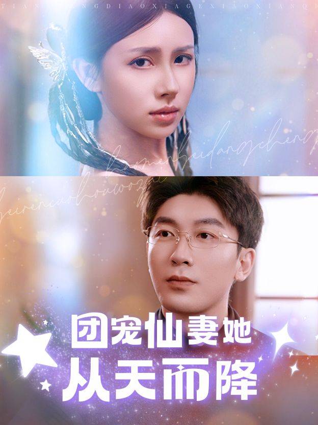 团宠仙妻她从天而降封面