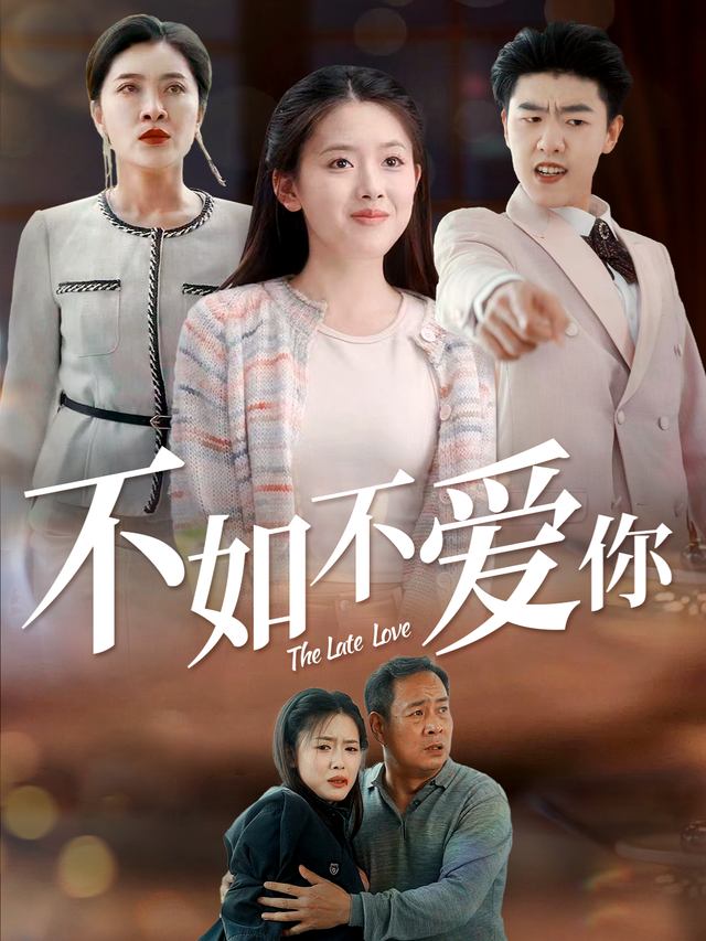 不如不爱你封面
