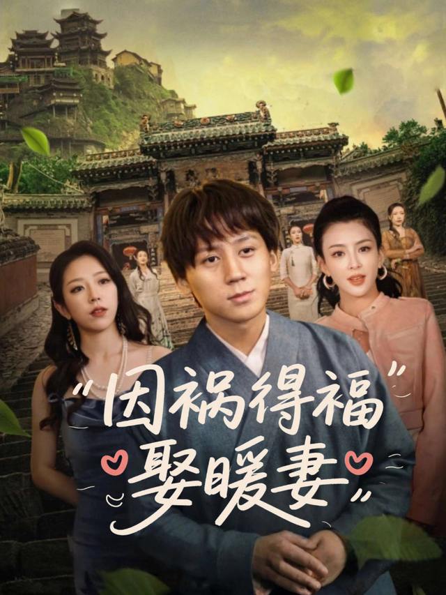 因祸得福娶暖妻封面
