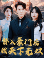 赘入豪门后我天下无双封面