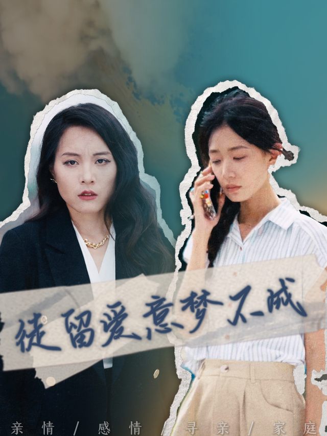 徒留爱意梦不成封面