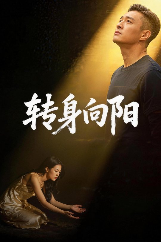转身向阳封面
