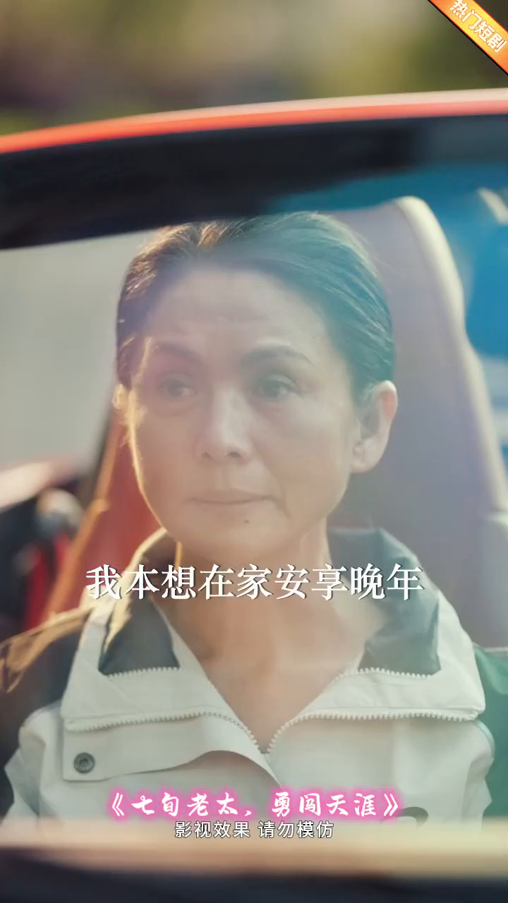 七旬老太,勇闯天涯封面