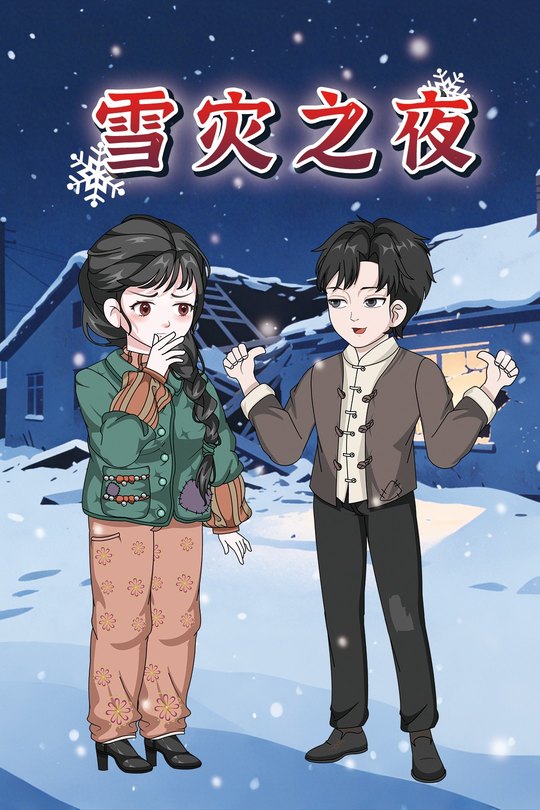 雪灾之夜封面