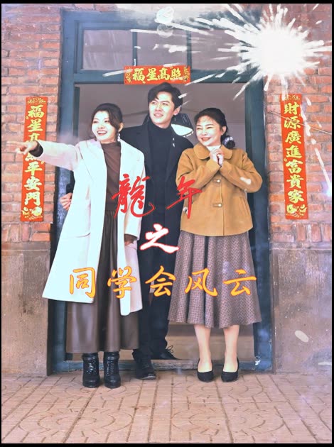 龙年之同学会风云封面