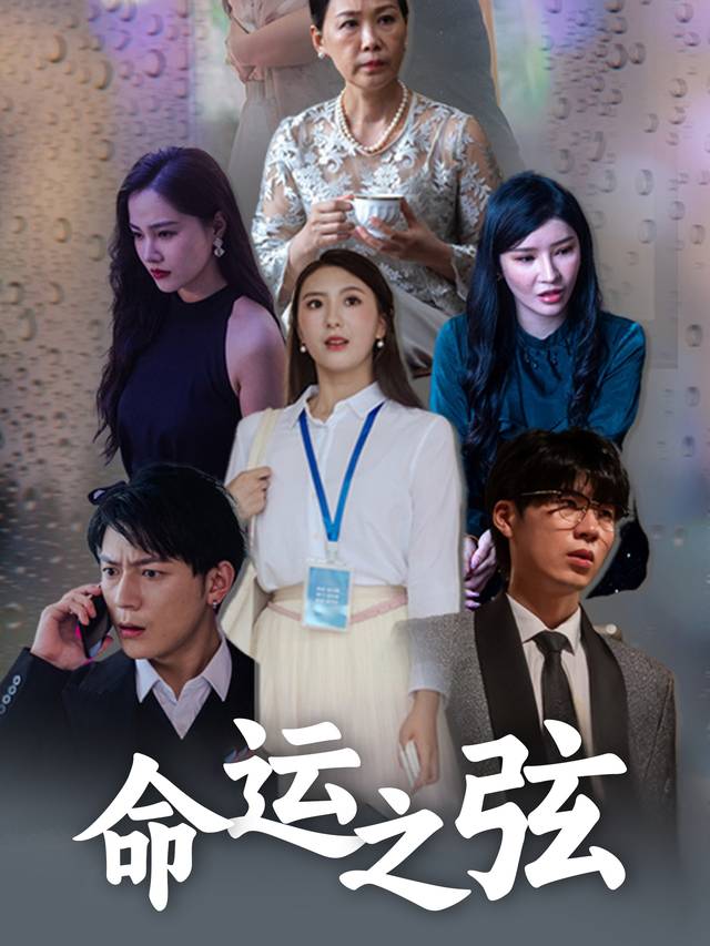 命运之弦封面