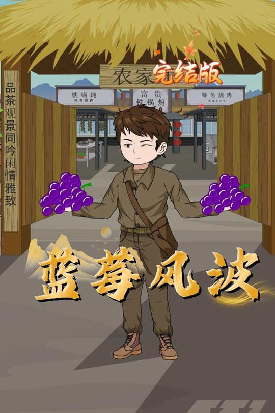 蓝莓风波封面