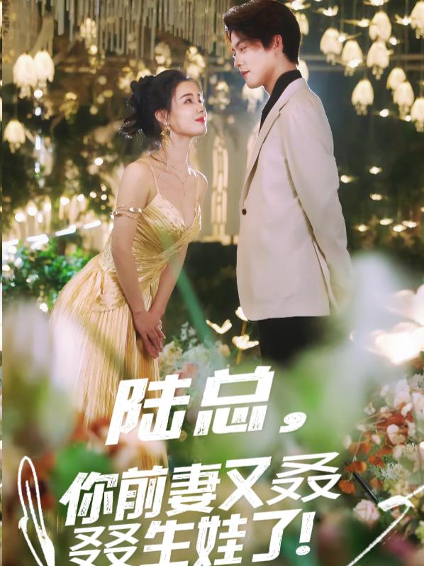 陆总,你前妻又叒叕生娃了!封面