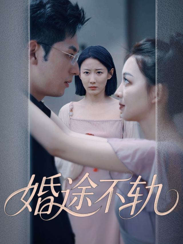 婚途不轨封面