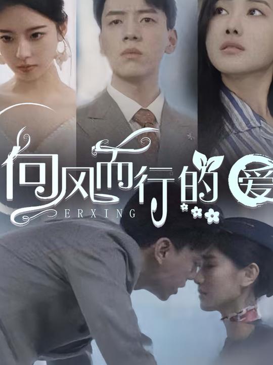 向风而行的爱封面