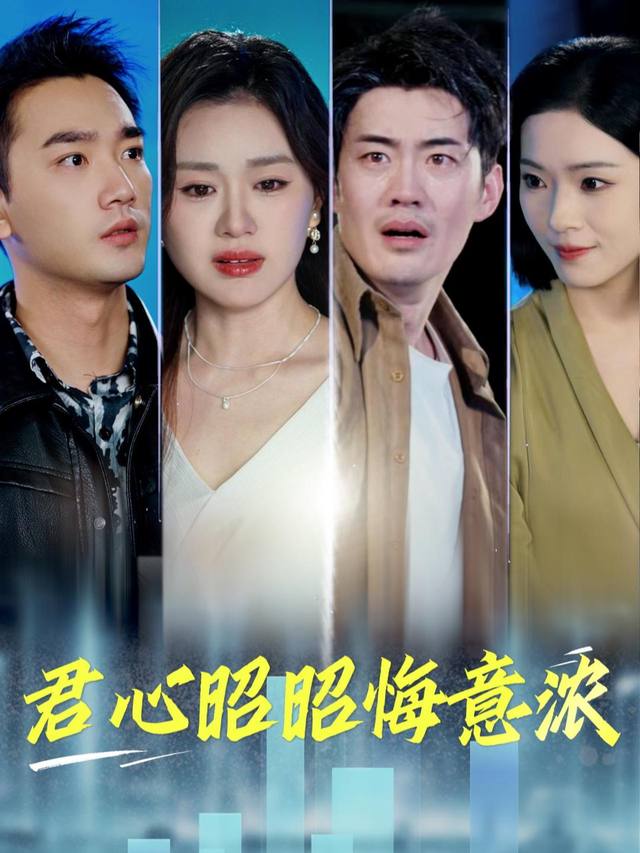 君心昭昭悔意浓封面
