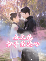 女大佬分手的决心封面