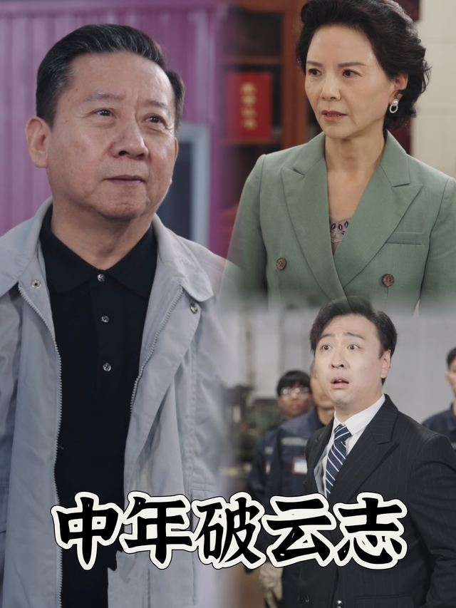 中年破云志封面