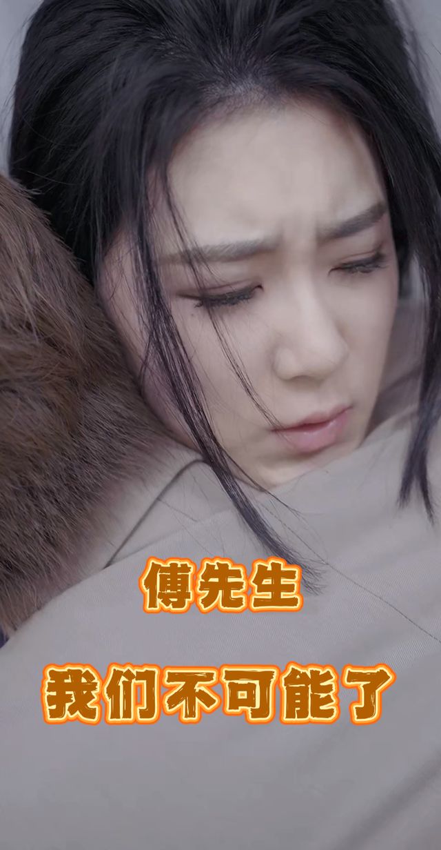 傅先生我们不可能了封面