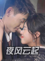 夜风云起封面