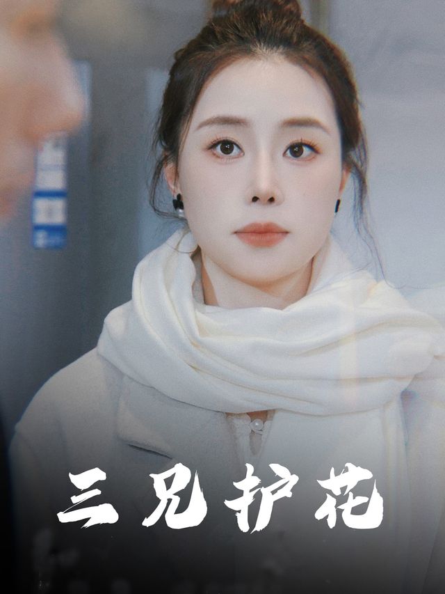 三兄护花封面