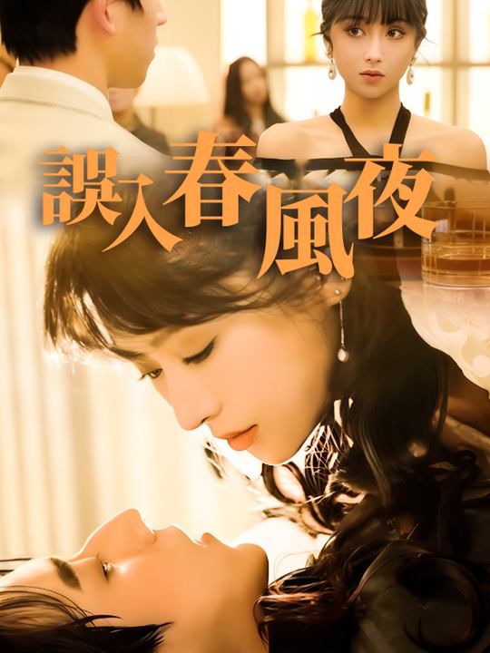 误入春风夜封面