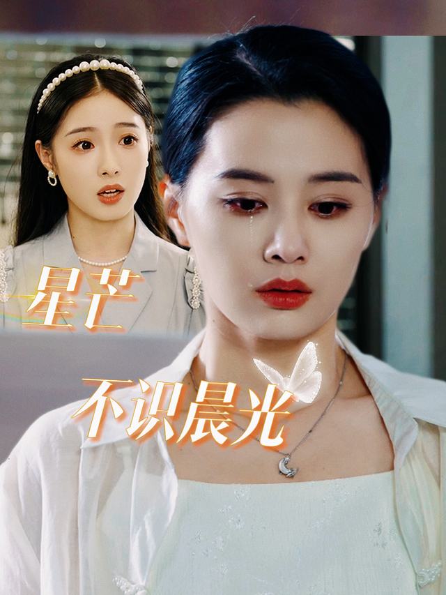 星芒不识晨光封面
