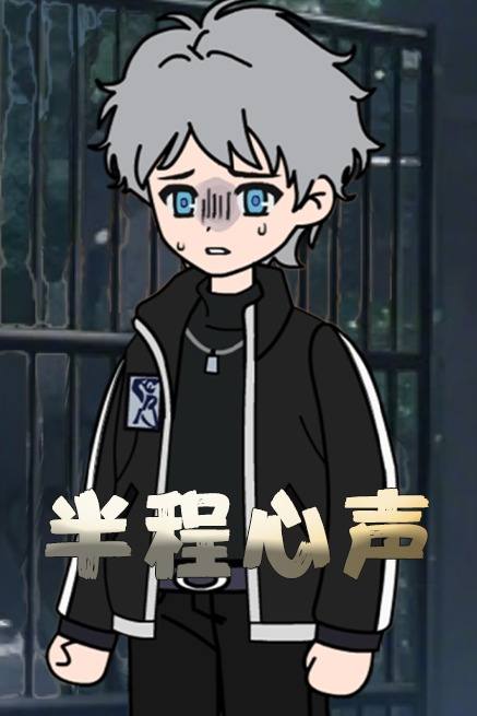 半程心声封面