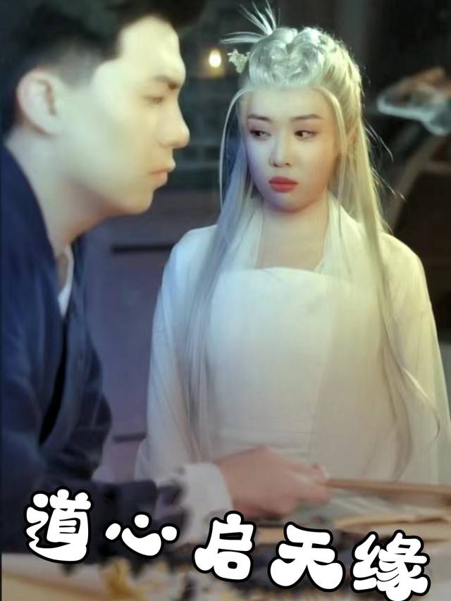 道心启天缘封面