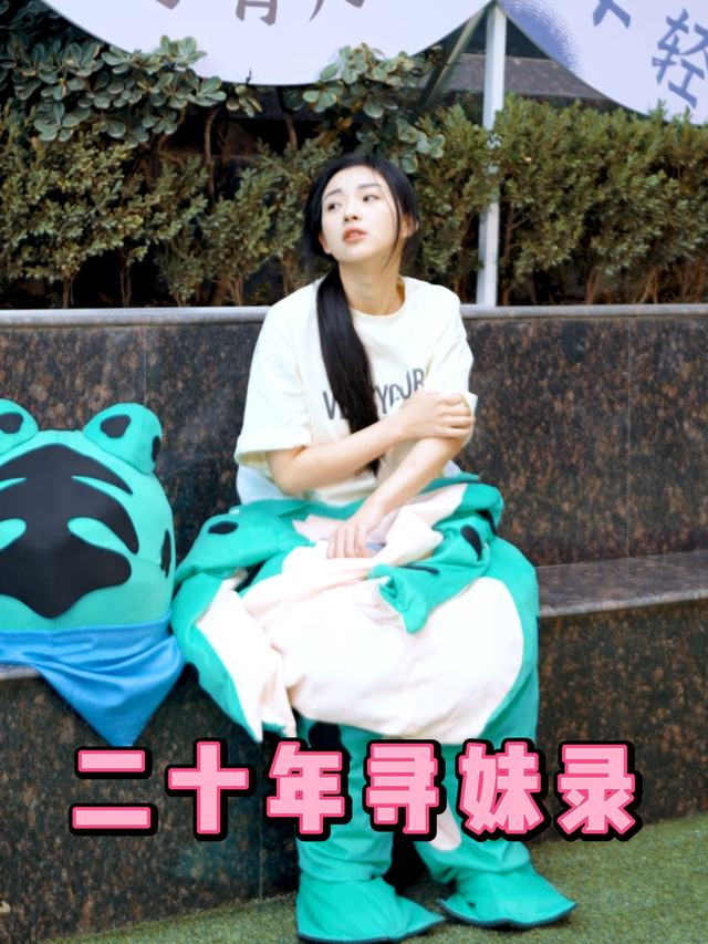 二十年寻妹录封面
