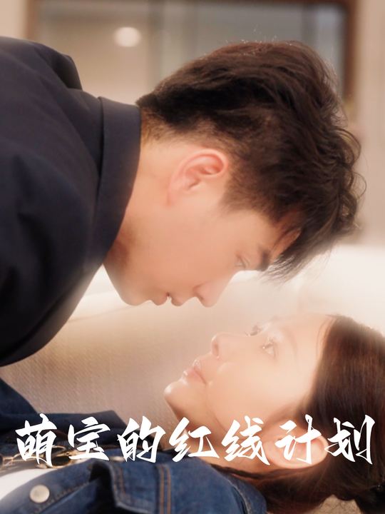 萌宝的红线计划封面