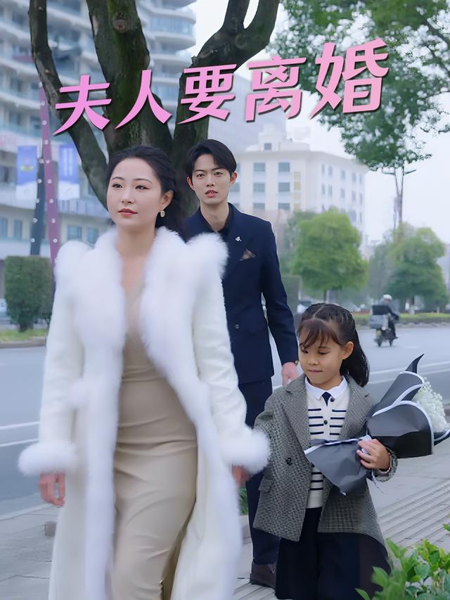夫人要离婚封面