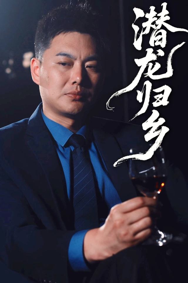 潜龙归乡封面