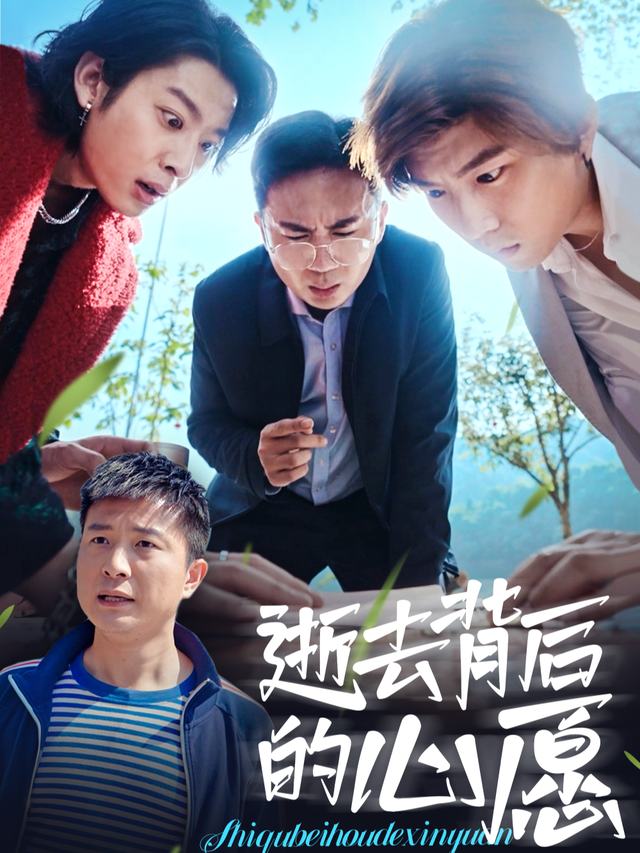逝去背后的心愿封面