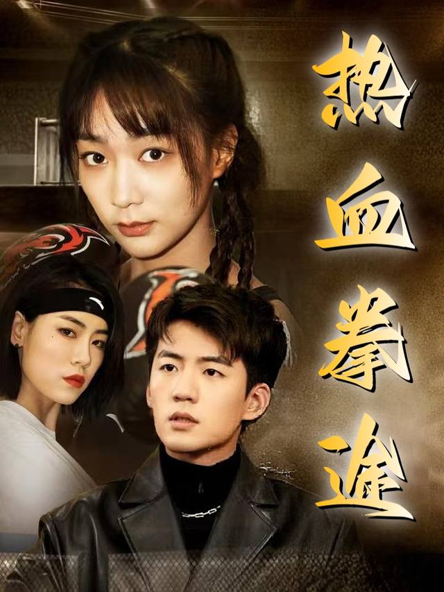 热血拳途封面