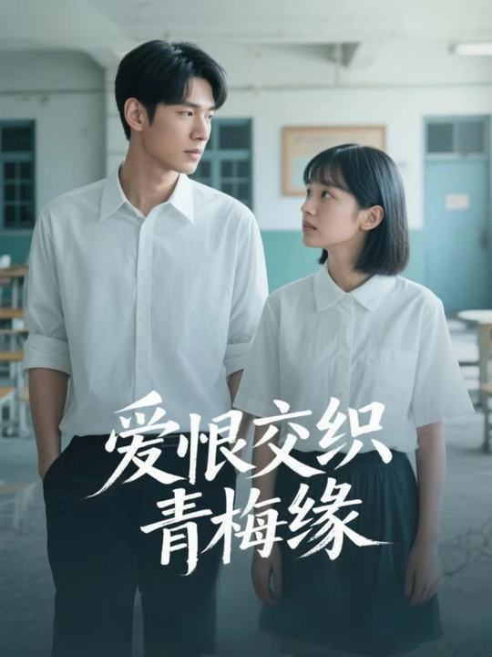 爱恨交织青梅缘封面
