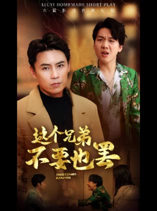 这个兄弟不要也罢封面